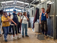 DS091023-89 - Dan Skelton stable visit